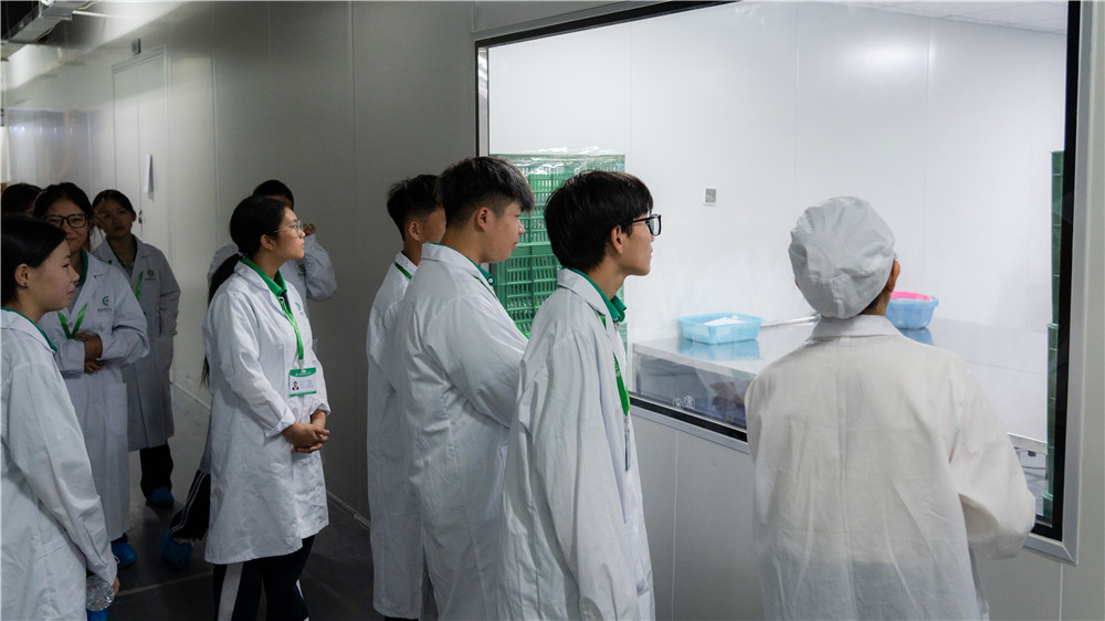 识专业・见岗位・筑初心|广西群贤技工学校26级药剂、中药专业走进广西厚德药业开展专业认知研学(图3) 识专业・见岗位・筑初心|广西群贤技工学校26级药剂、中药专业走进广西厚德药业开展专业认知研学(图3)