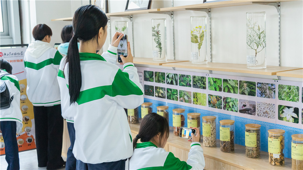 探秘本草世界・传承匠心药韵 ——我校25级中药专业学生赴广西药用植物园开展研学活动(图4)