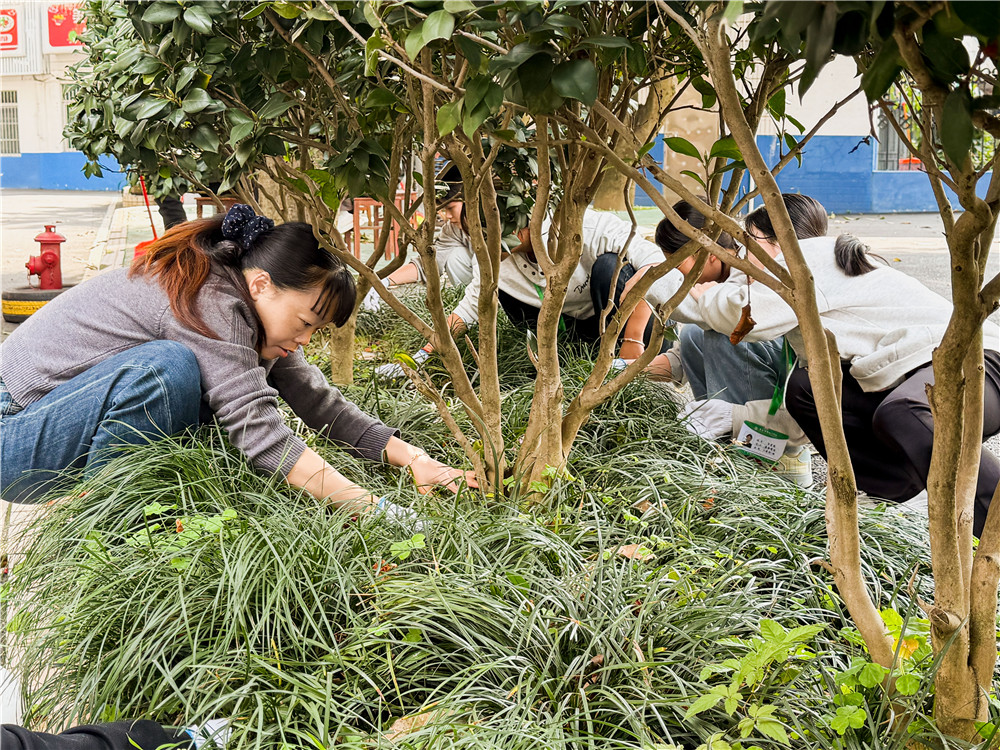 人人参与护绿 共建绿色校园——我校师生开展校园护绿行动(图4)
