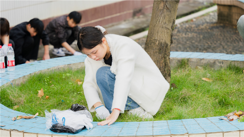 人人参与护绿 共建绿色校园——我校师生开展校园护绿行动(图6)