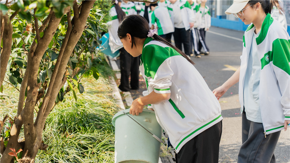 人人参与护绿 共建绿色校园——我校师生开展校园护绿行动(图8)