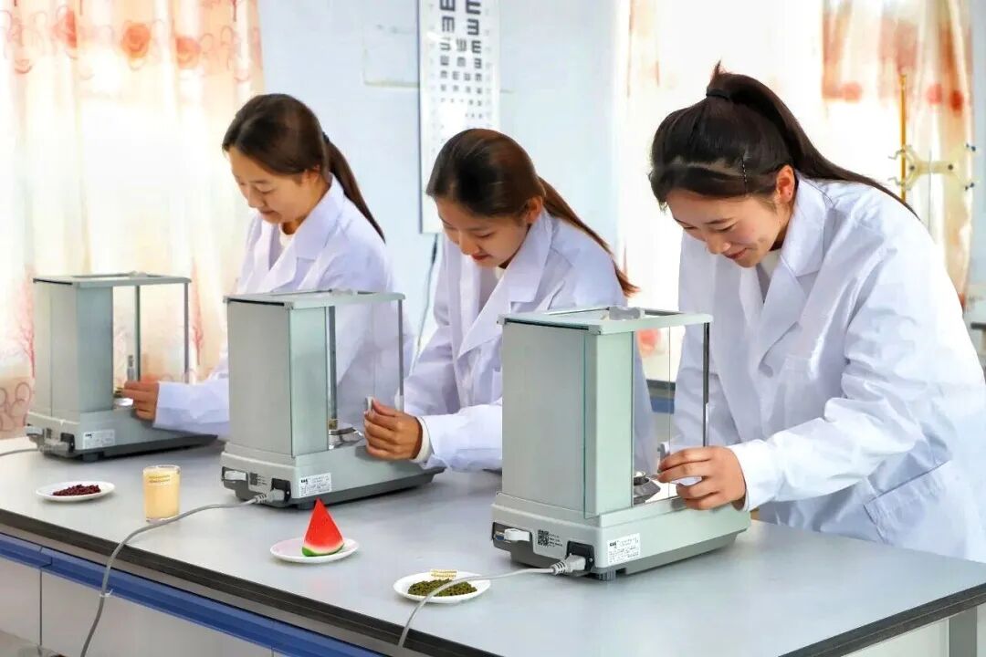 药膳与食疗(图7)